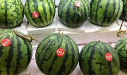 吃瓜黑料精品一区 吃瓜群众在七零,吃瓜群众揭秘吃瓜黑料精品一区风云录